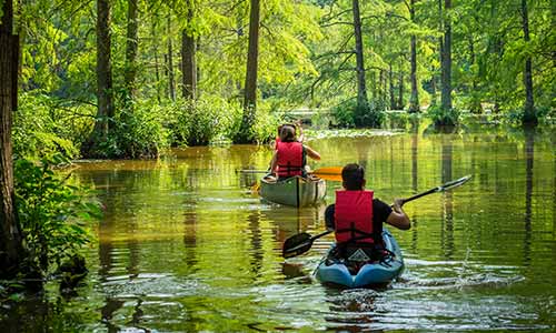 Kayakers paddle the Terrapin Branch Water Trail at Trap Pond State Park