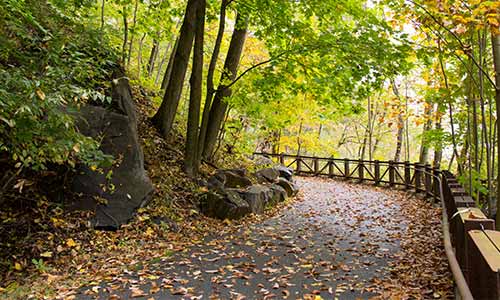 Alapocas Woods offers a short but scenic trail at Alapocas Run State Park.