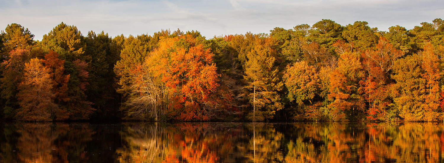 Fall picture from Trap Pond State Park